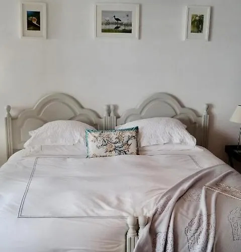 House In The Town Centre Caminha